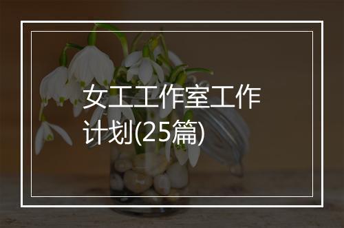 女工工作室工作计划(25篇)