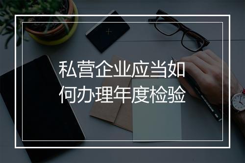 私营企业应当如何办理年度检验