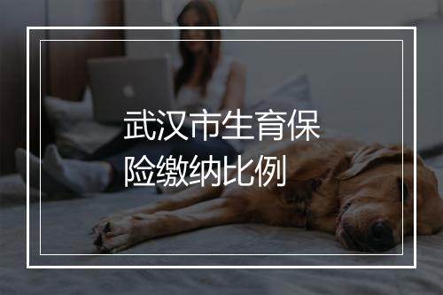 武汉市生育保险缴纳比例