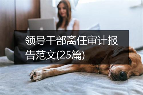 领导干部离任审计报告范文(25篇)