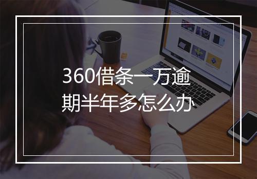 360借条一万逾期半年多怎么办