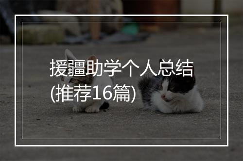 援疆助学个人总结(推荐16篇)