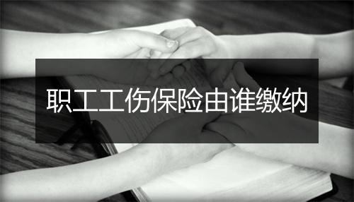 职工工伤保险由谁缴纳