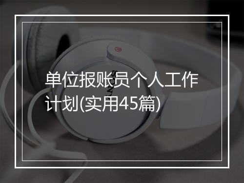 单位报账员个人工作计划(实用45篇)