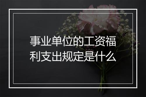事业单位的工资福利支出规定是什么