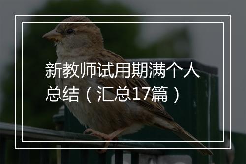 新教师试用期满个人总结（汇总17篇）