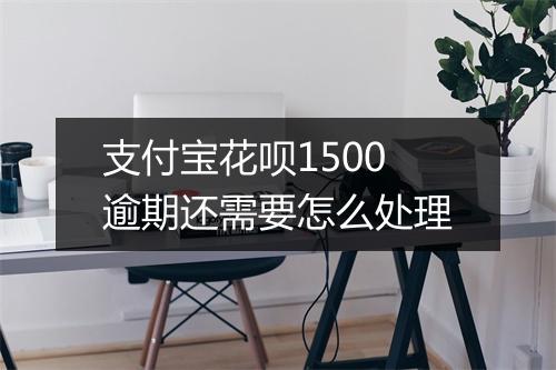 支付宝花呗1500逾期还需要怎么处理