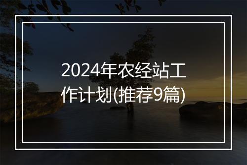 2024年农经站工作计划(推荐9篇)