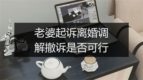 老婆起诉离婚调解撤诉是否可行