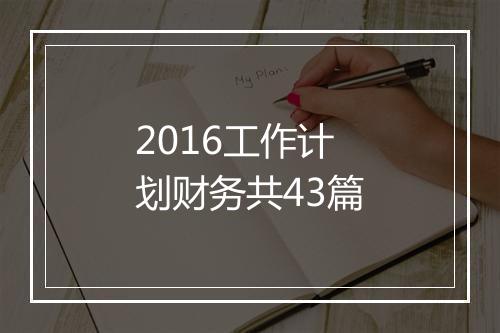 2016工作计划财务共43篇