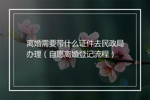 离婚需要带什么证件去民政局办理（自愿离婚登记流程）