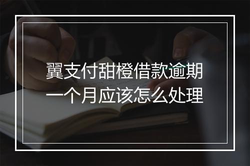 翼支付甜橙借款逾期一个月应该怎么处理