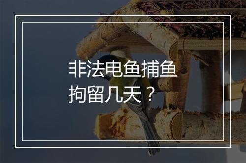 非法电鱼捕鱼拘留几天？