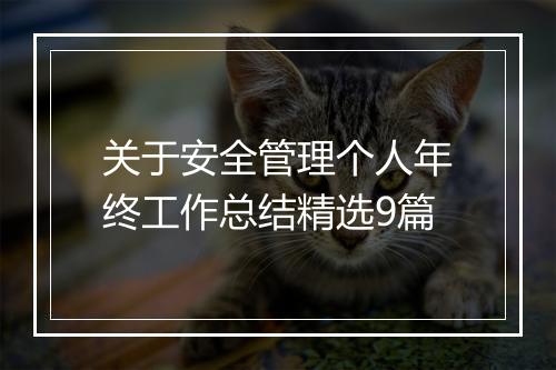 关于安全管理个人年终工作总结精选9篇