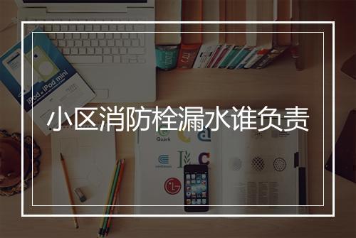 小区消防栓漏水谁负责