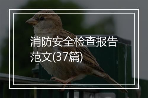 消防安全检查报告范文(37篇)