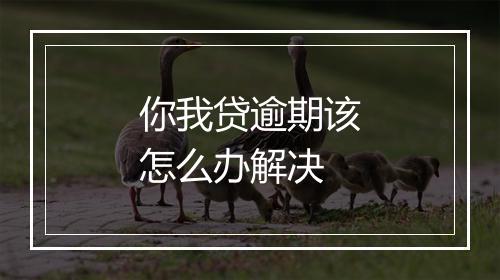 你我贷逾期该怎么办解决