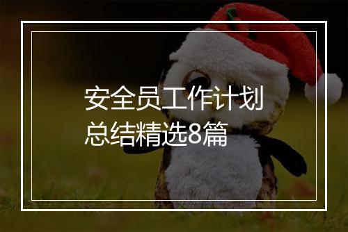 安全员工作计划总结精选8篇