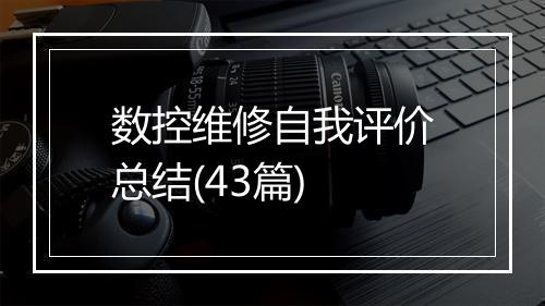 数控维修自我评价总结(43篇)