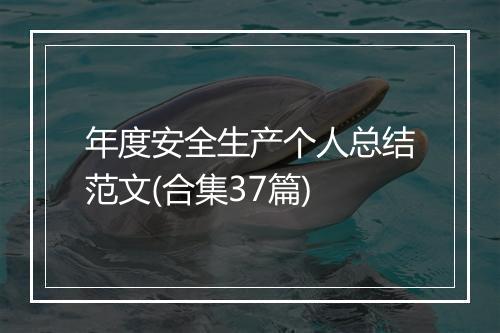 年度安全生产个人总结范文(合集37篇)