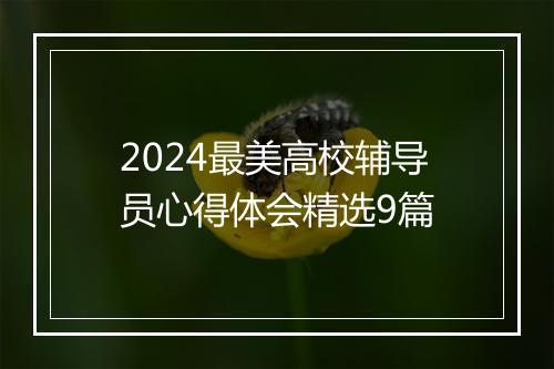2024最美高校辅导员心得体会精选9篇