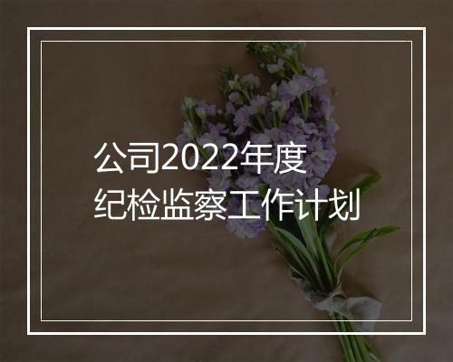 公司2022年度纪检监察工作计划