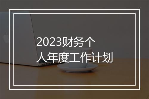 2023财务个人年度工作计划