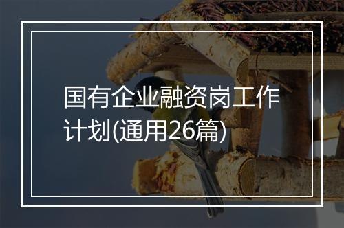国有企业融资岗工作计划(通用26篇)