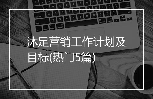 沐足营销工作计划及目标(热门5篇)