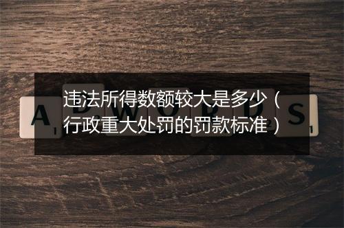 违法所得数额较大是多少（行政重大处罚的罚款标准）