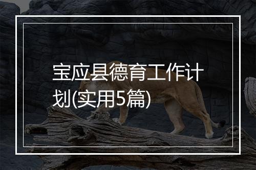 宝应县德育工作计划(实用5篇)