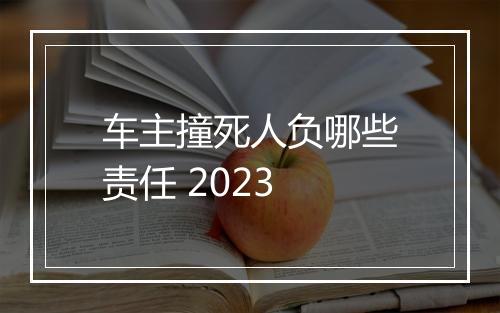 车主撞死人负哪些责任 2023