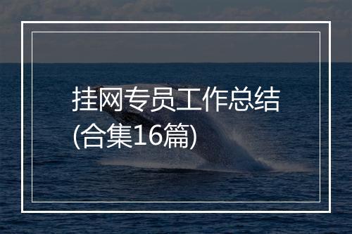 挂网专员工作总结(合集16篇)