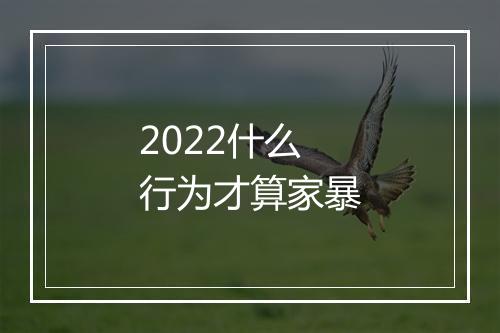 2022什么行为才算家暴