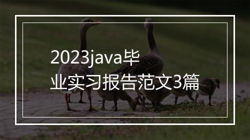 2023java毕业实习报告范文3篇