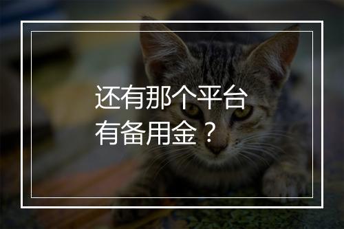还有那个平台有备用金？