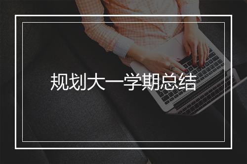 规划大一学期总结
