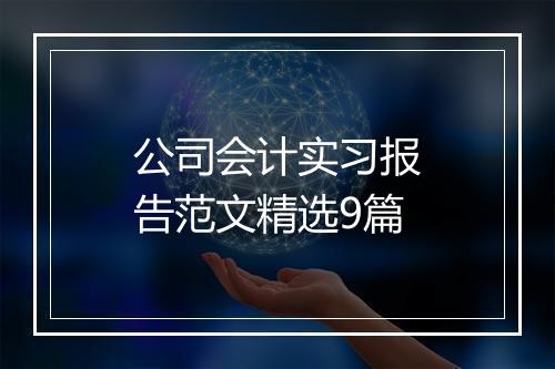 公司会计实习报告范文精选9篇
