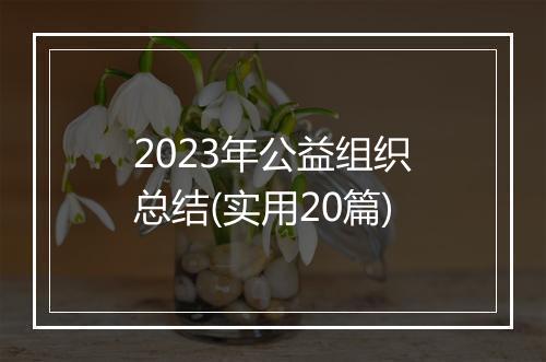 2023年公益组织总结(实用20篇)