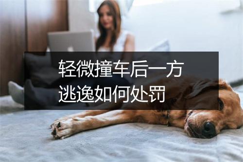 轻微撞车后一方逃逸如何处罚