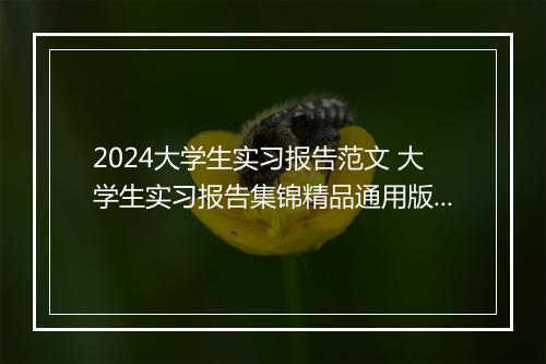 2024大学生实习报告范文 大学生实习报告集锦精品通用版8篇
