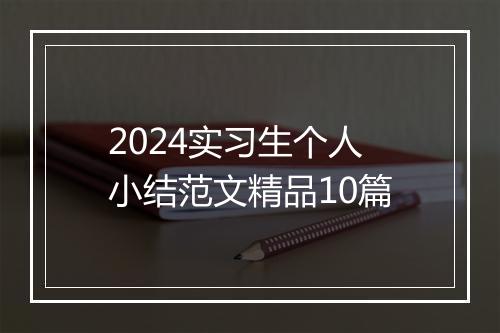2024实习生个人小结范文精品10篇