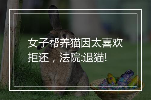 女子帮养猫因太喜欢拒还，法院:退猫!