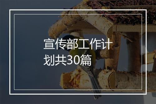 宣传部工作计划共30篇