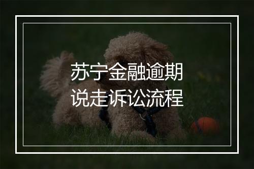 苏宁金融逾期说走诉讼流程