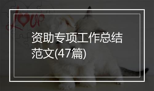 资助专项工作总结范文(47篇)