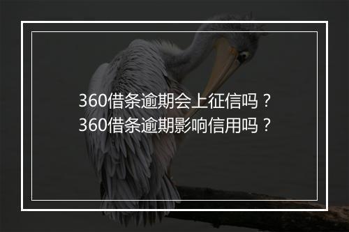 360借条逾期会上征信吗？360借条逾期影响信用吗？