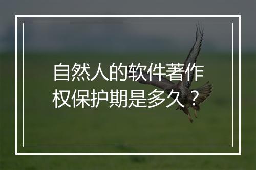自然人的软件著作权保护期是多久？