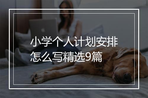 小学个人计划安排怎么写精选9篇