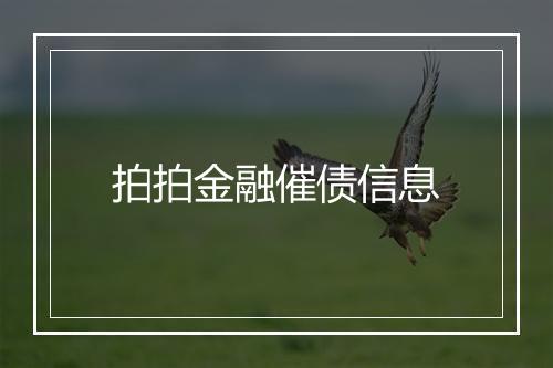 拍拍金融催债信息